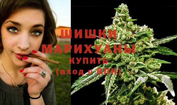 mdma Новозыбков