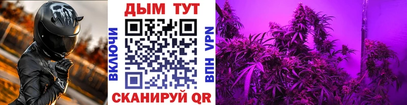 Купить где Апшеронск МАРИХУАНА Amnesia